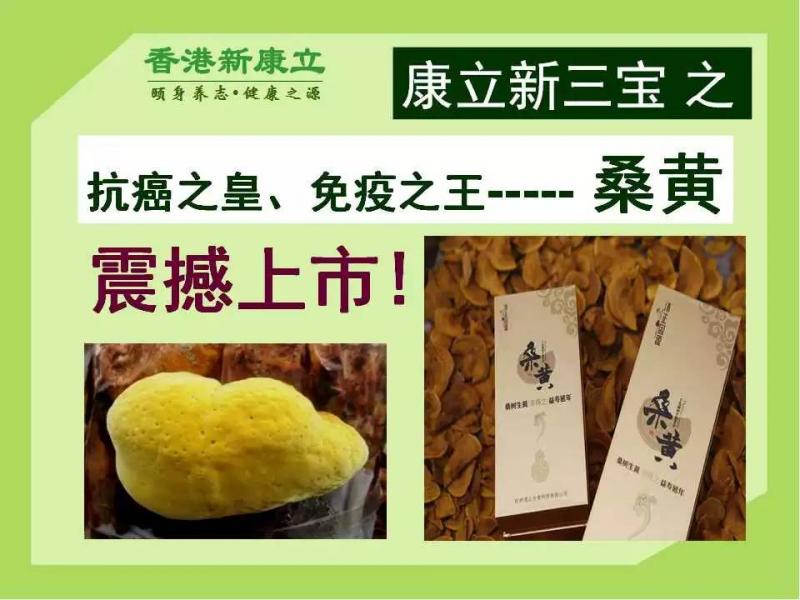 新康立(桑黄)抗癌之皇--免疫之王