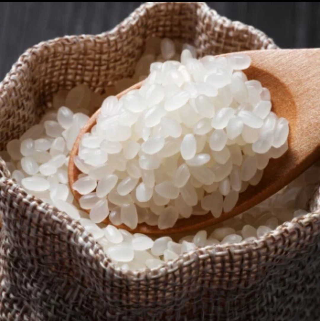 金龙鱼 苏北米 软香稻大米5kg 圆粒米粳米 袋装包邮